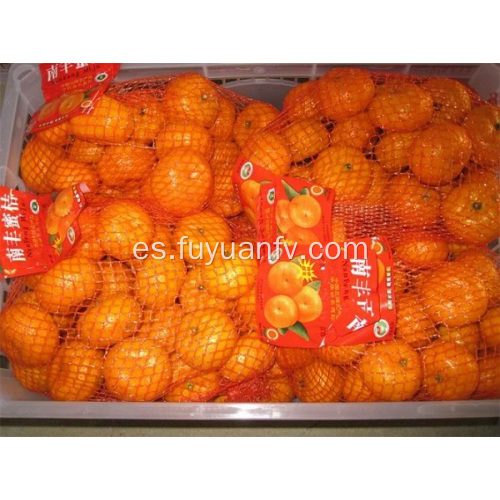 Buena mandarina dulce fresca